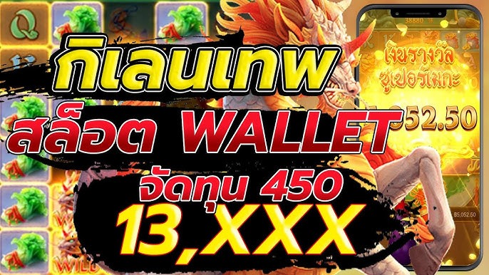 wallet 689